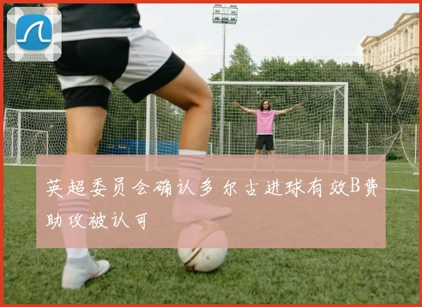 英超委员会确认多尔古进球有效B费助攻被认可
